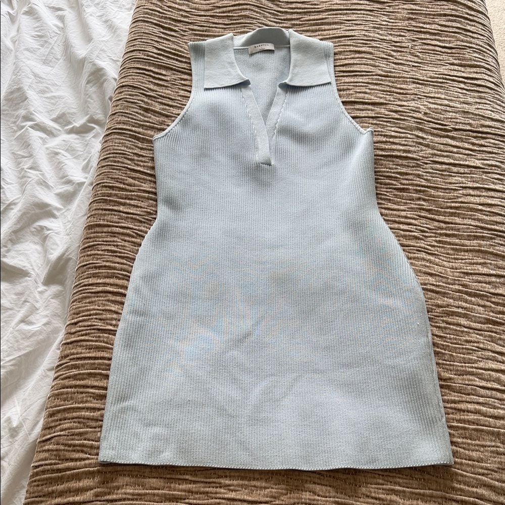 Aritzia Babaton Dress